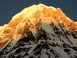 02 Annapurna South At Sunrise From Annapurna Base Camp In The Annapurna Sanctuary 